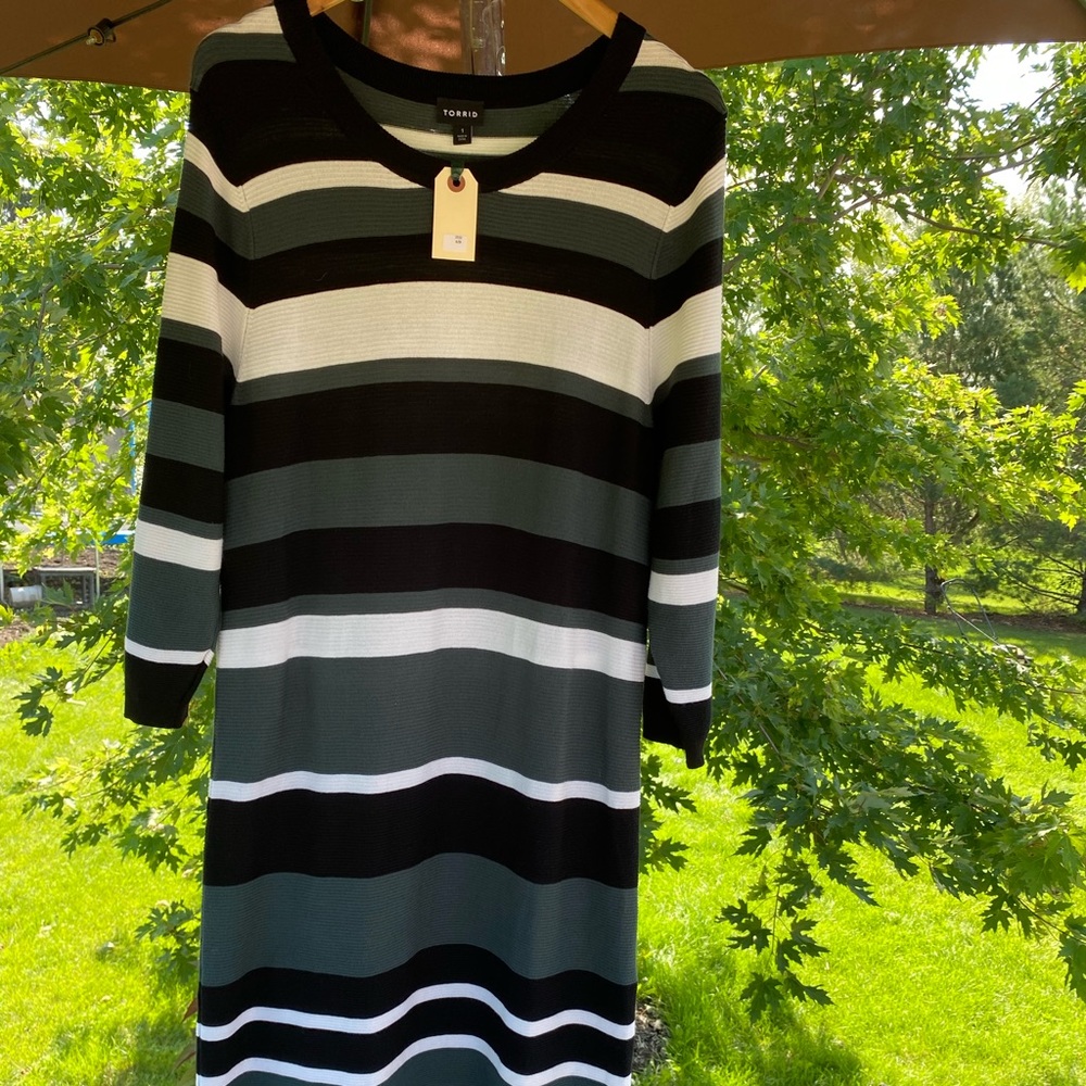 Torrid Sweater Bodycon Dress